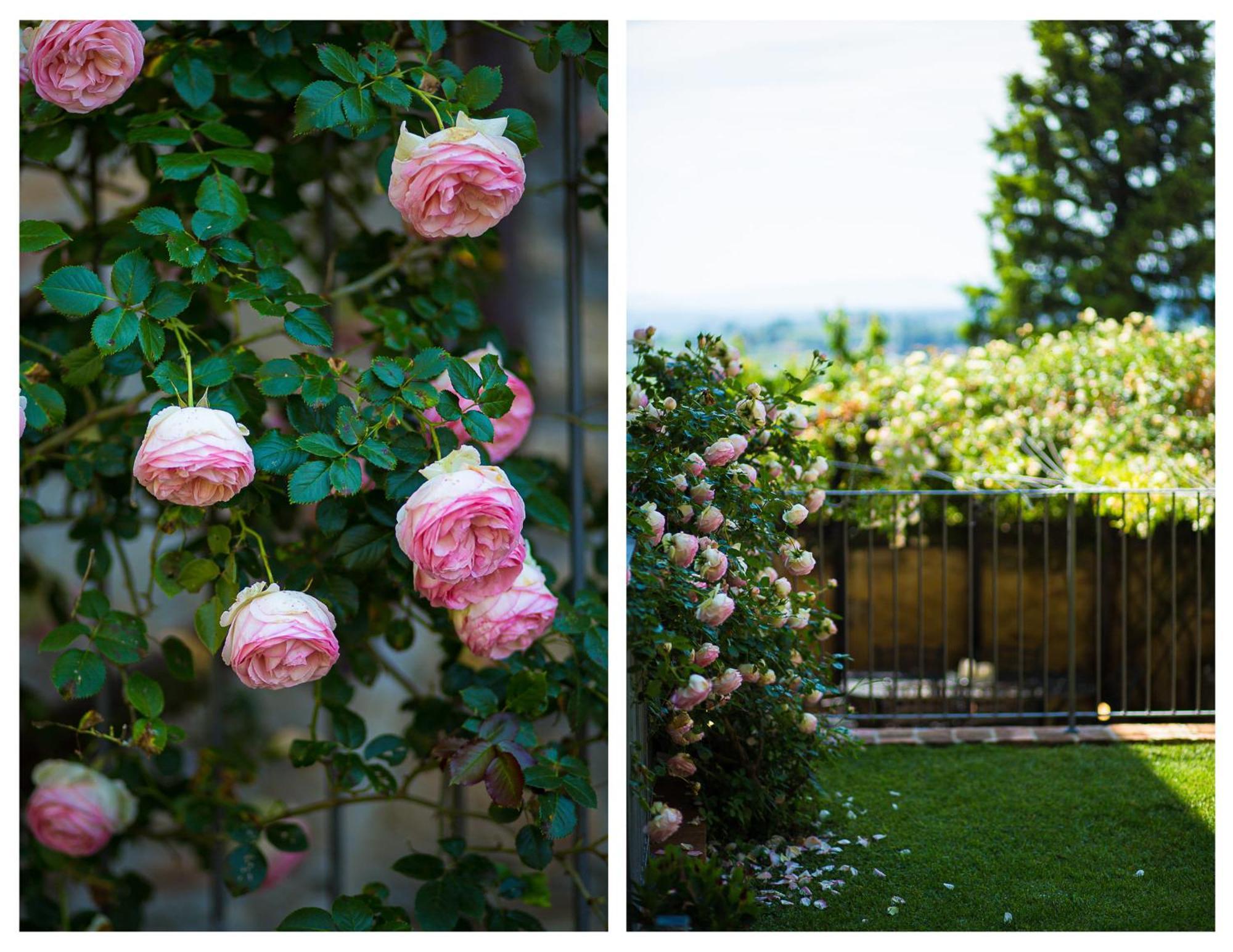 The Tower'S Garden Apartment San Gimignano Exterior photo